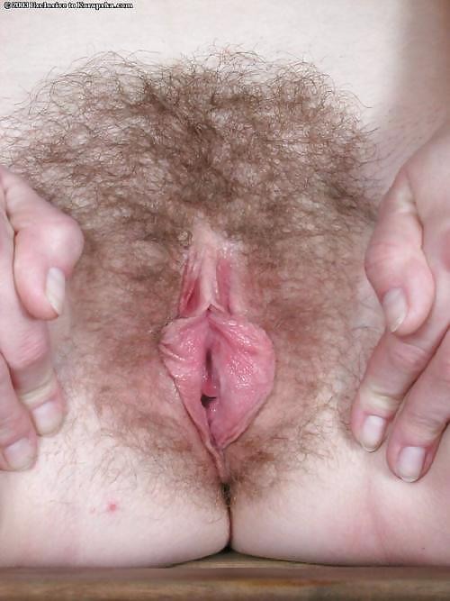 J'adore les femmes ayant une belle toison 47
 #6233227