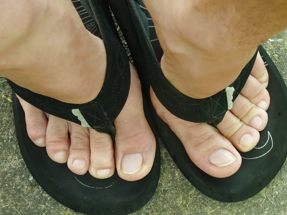 Pies sexys
 #21392885