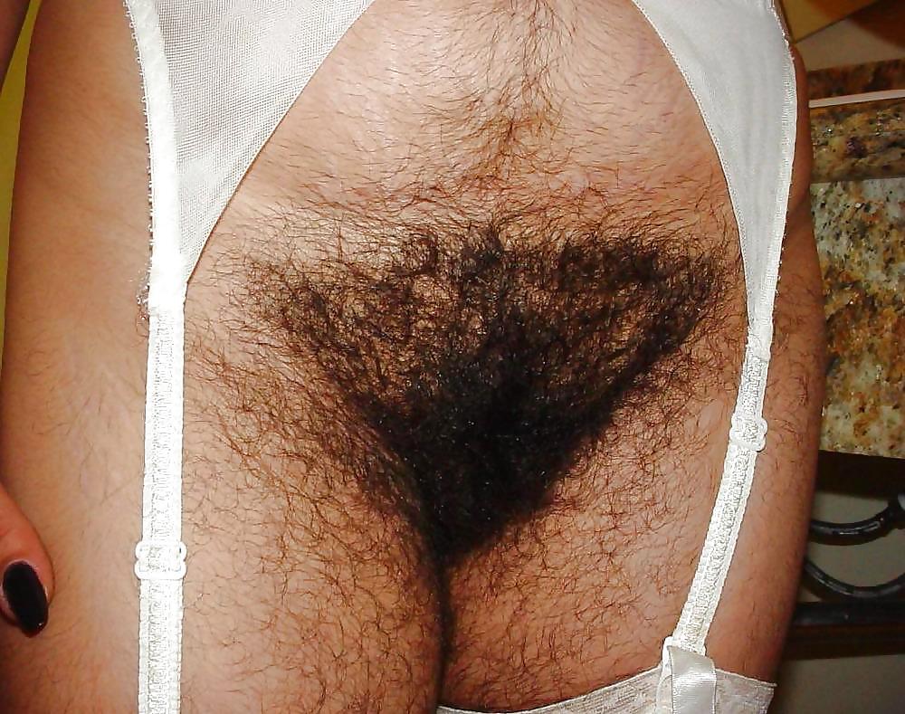 Hairy pussy ! #8991799