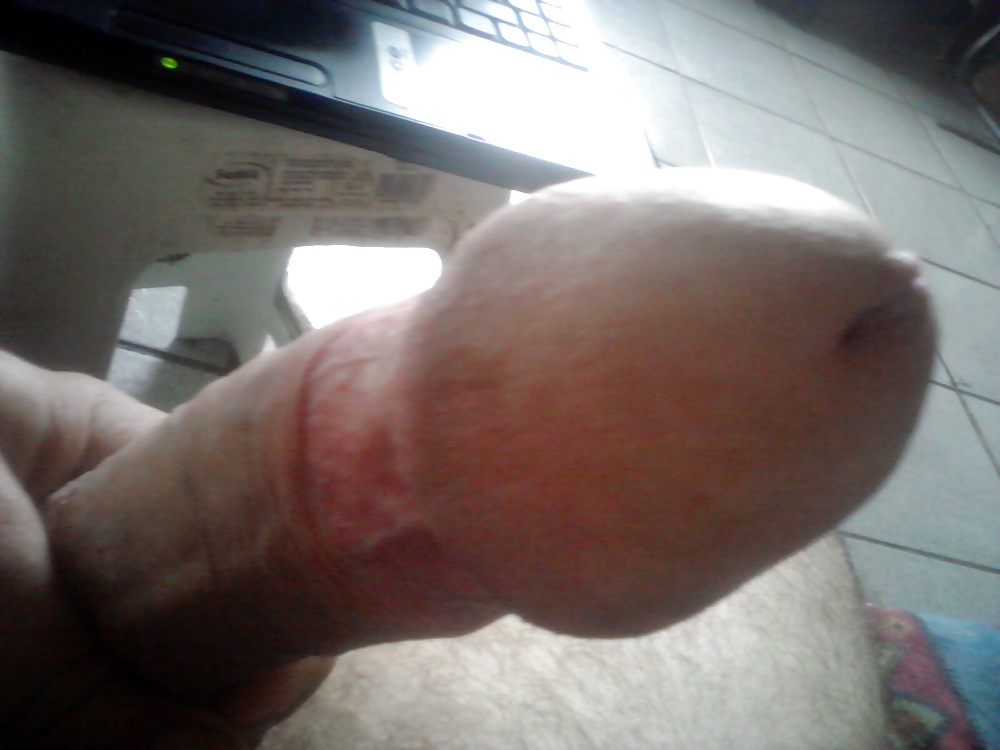 Cock #3977754