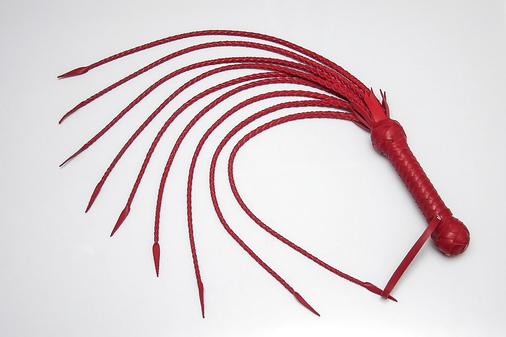 Adaptations for a flogging #17229515