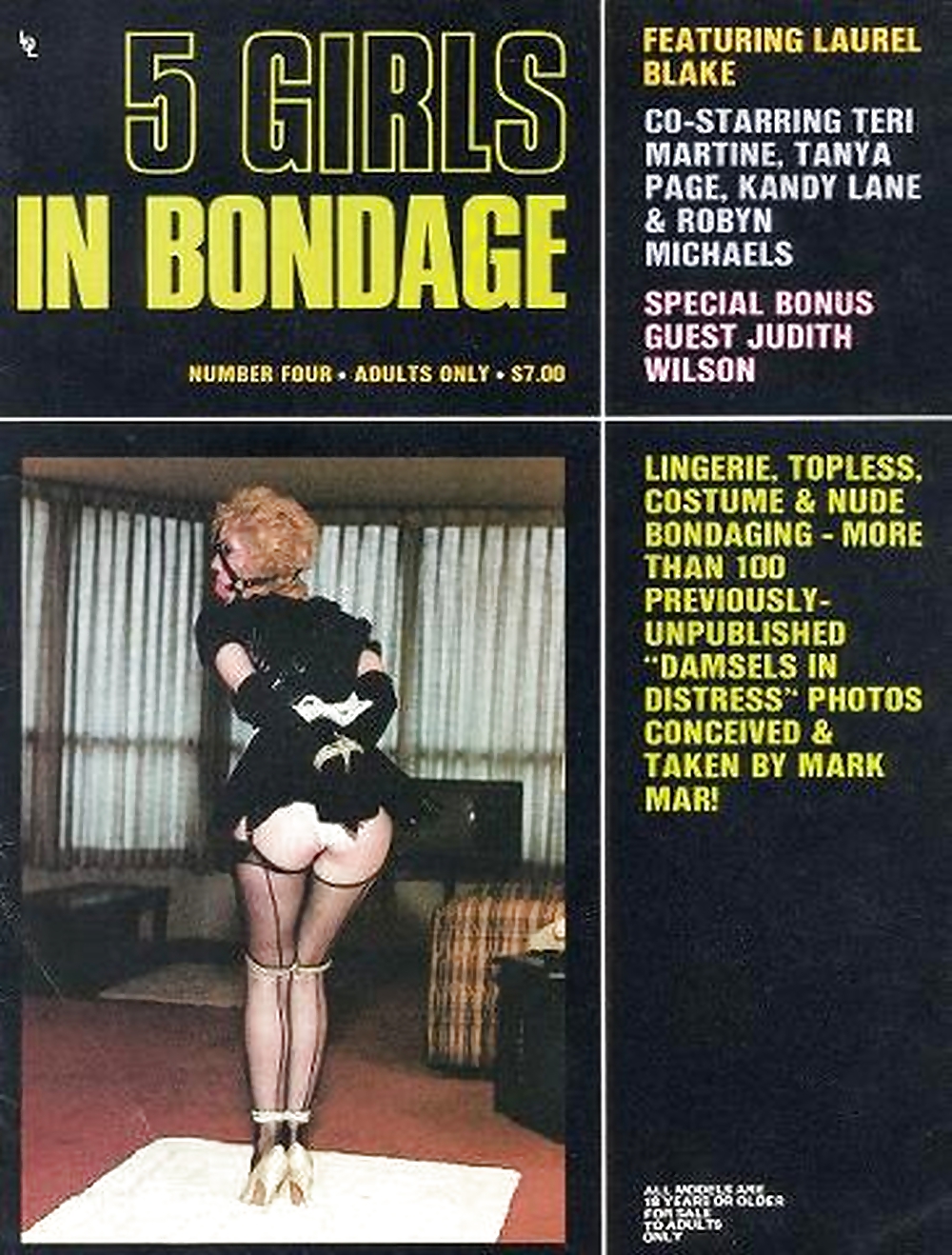 My Vintage Bondage Magazines (covers ) #22184312