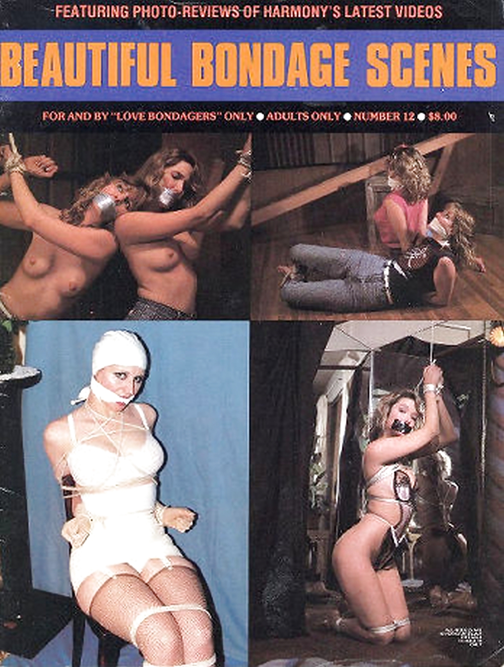 My Vintage Bondage Magazines (covers ) #22184407