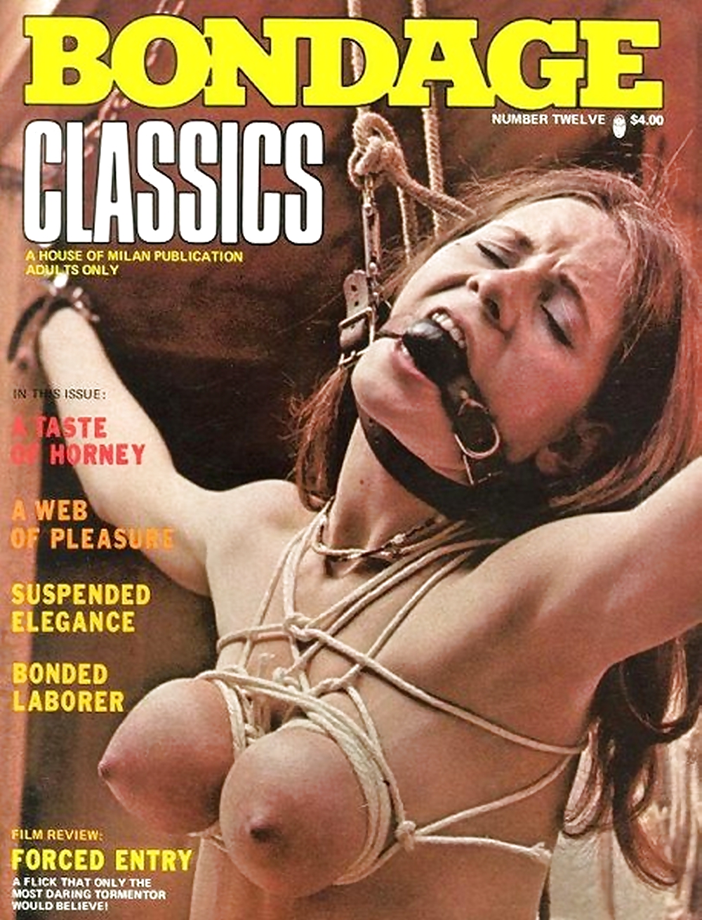 Mis revistas vintage de bondage (portadas )
 #22184545