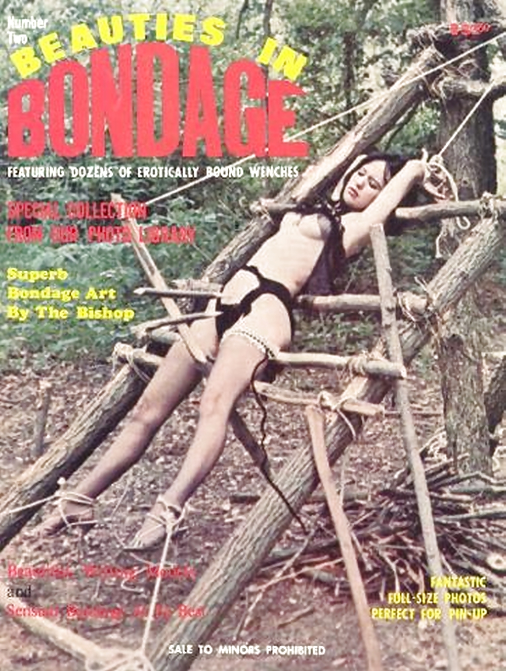 My Vintage Bondage Magazines (covers ) #22184667