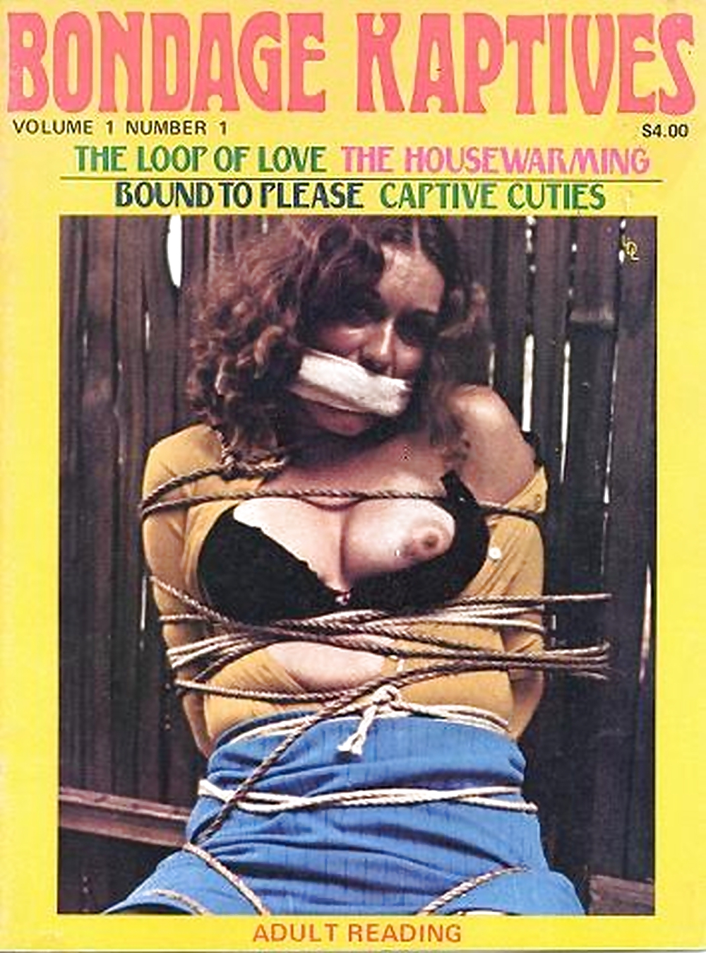 Mis revistas vintage de bondage (portadas )
 #22184725