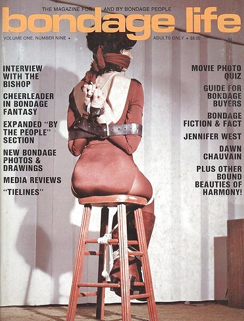 My Vintage Bondage Magazines (covers ) #22184817