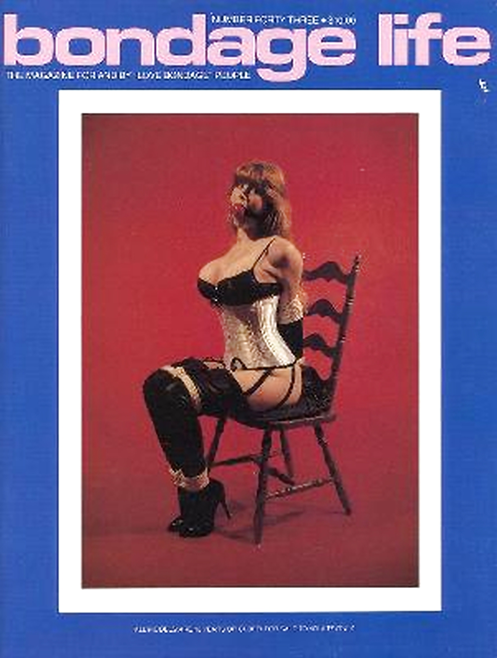 My Vintage Bondage Magazines (covers ) #22185050