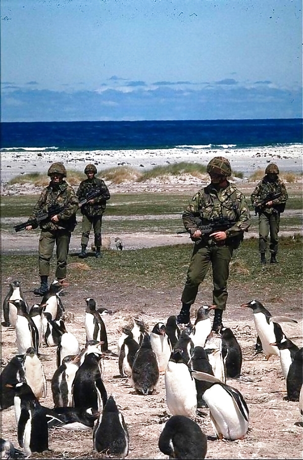Dummes Zeug Mititary #537291