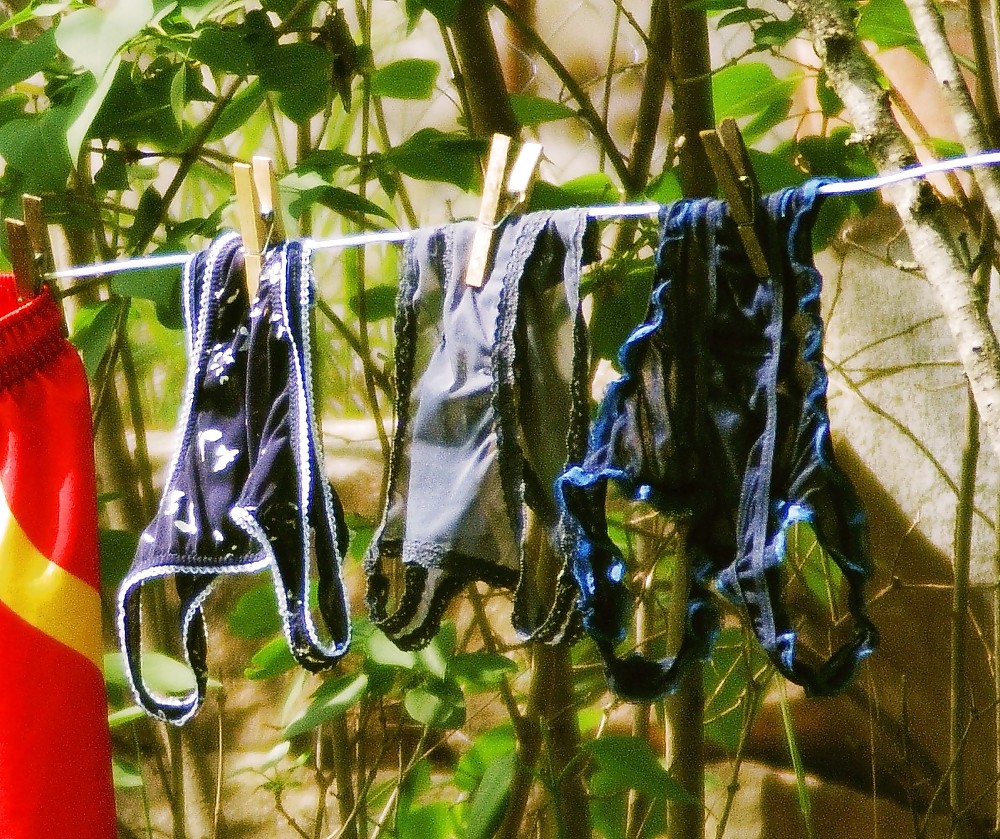 Washing line knickers 