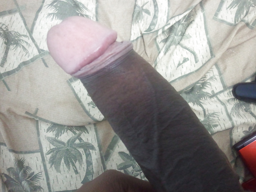 My dick #3786058