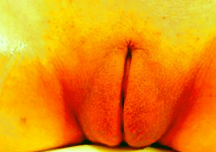 As Mais Belas Xoxotas Maranheneses #9316935