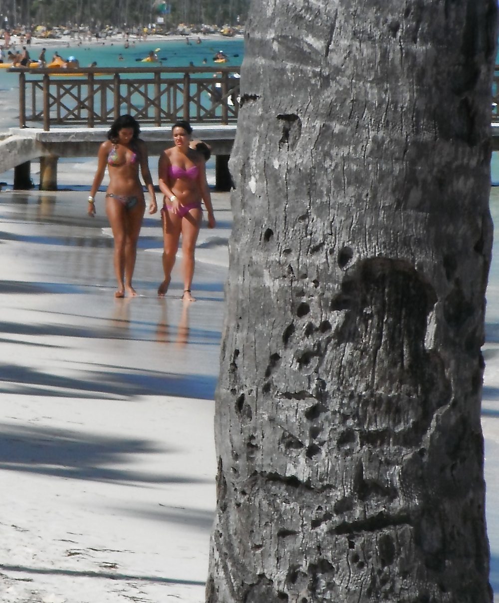 Viaje a punta cana
 #11804714