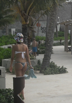 Viaje a punta cana
 #11804839