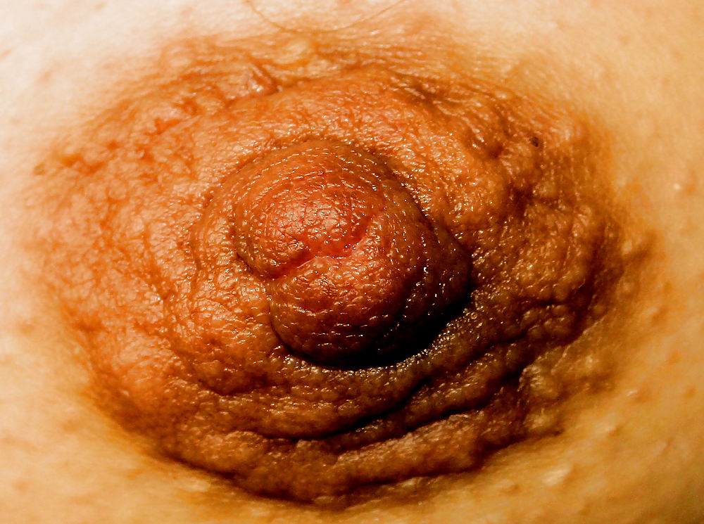 Solo tetas
 #21220591