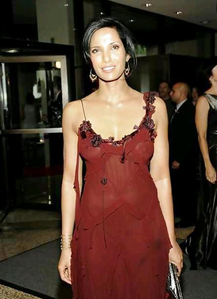 Padma Lakshmi #14277886