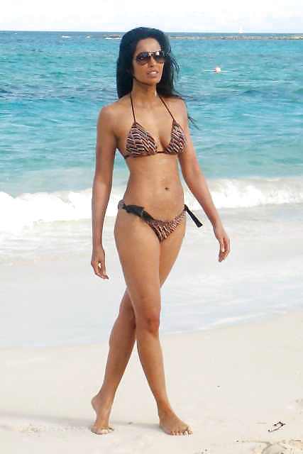 Padma lakshmi
 #14277958