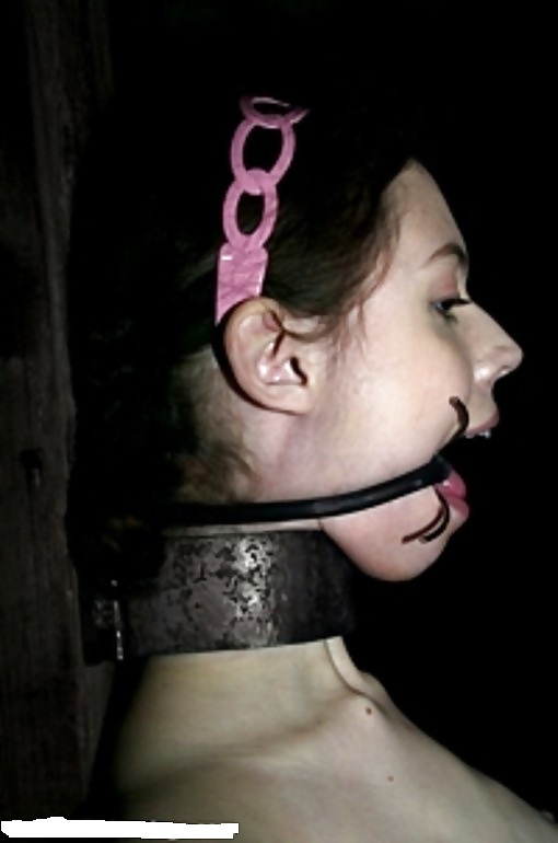 Hard restraints for slave's #18023293