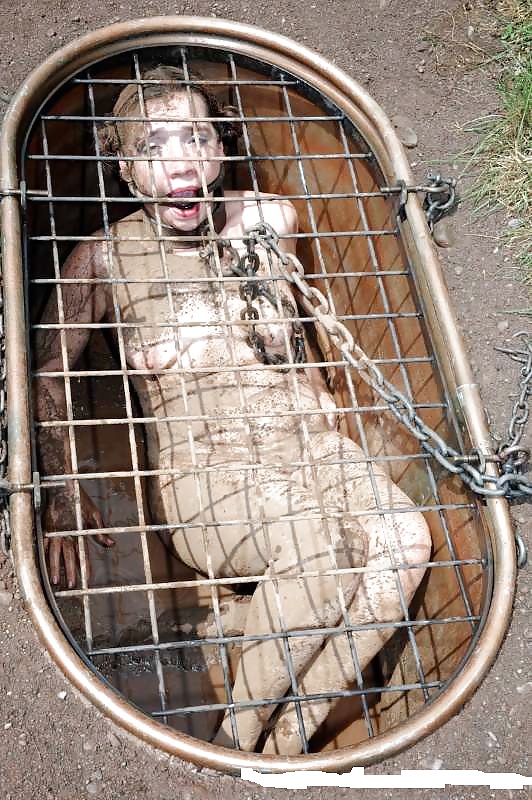 Hard restraints for slave's #18023355