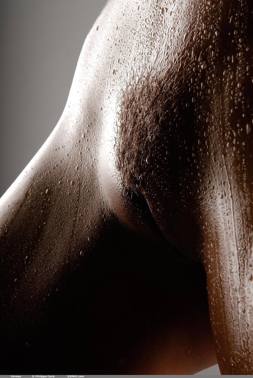 ジャナスコレクション61
 #19005466