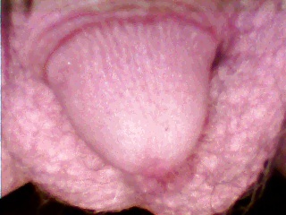 Desde el 12.09.2012
 #13740673