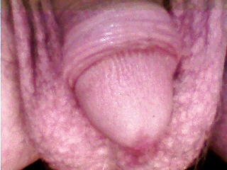 Desde el 12.09.2012
 #13740679