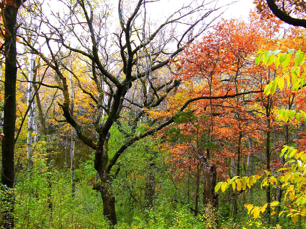 セクシーガール1
 #10136369