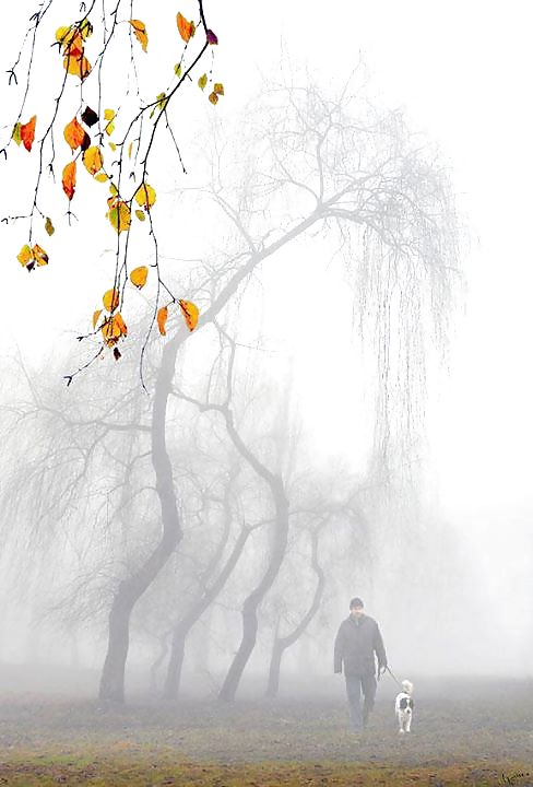 セクシーガール1
 #10136376