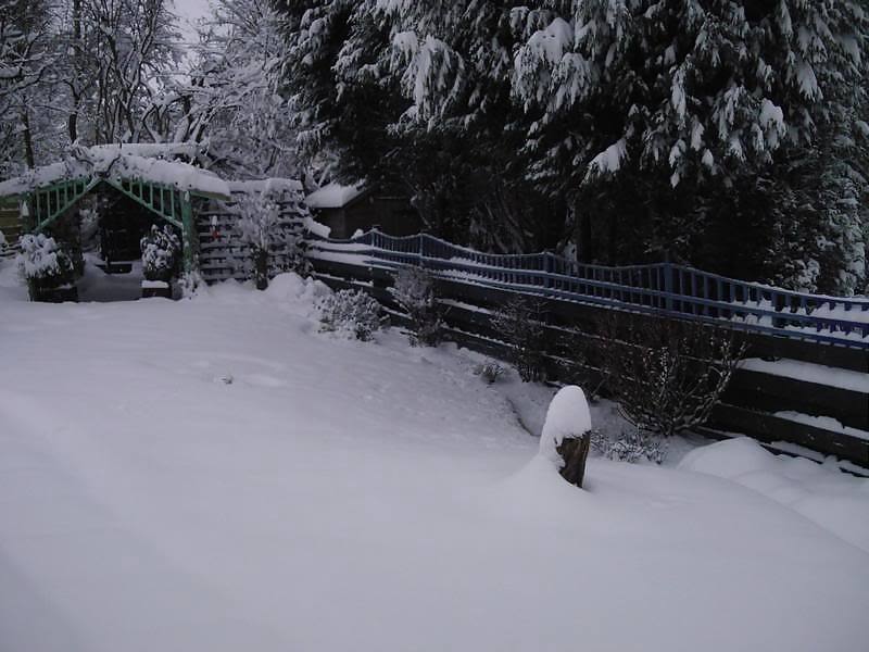 セクシーガール1
 #10136395