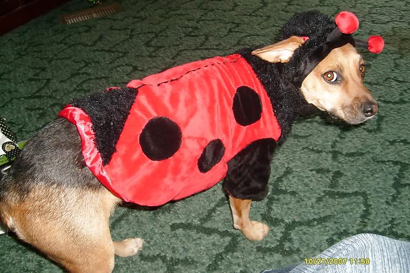 Sexy Girl 1 #10136404