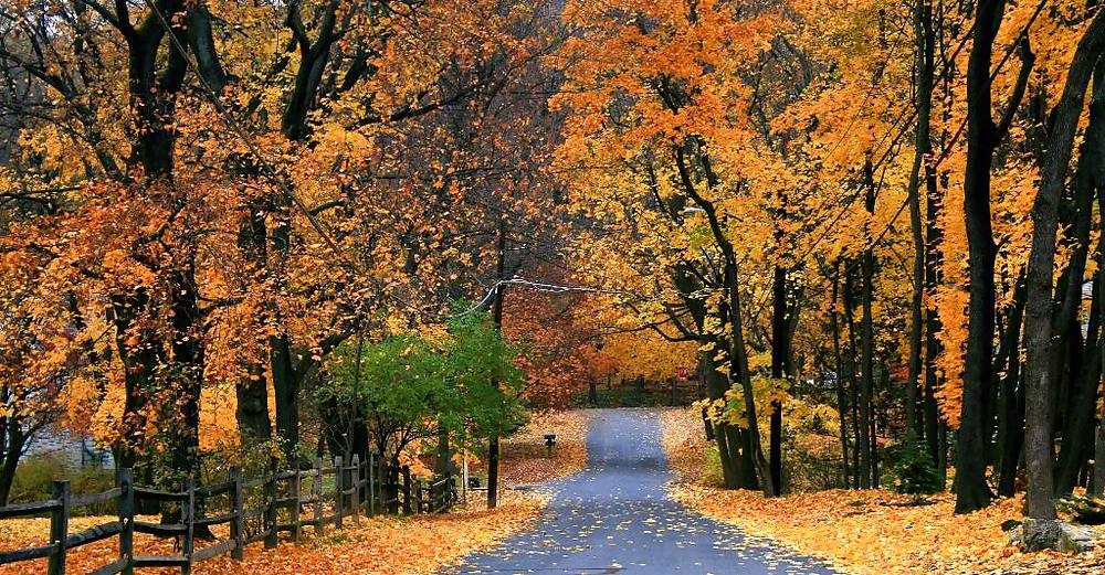 セクシーガール1
 #10136420