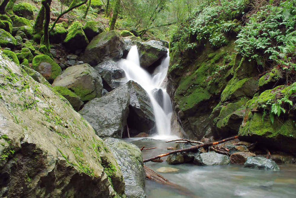 セクシーガール1
 #10136436