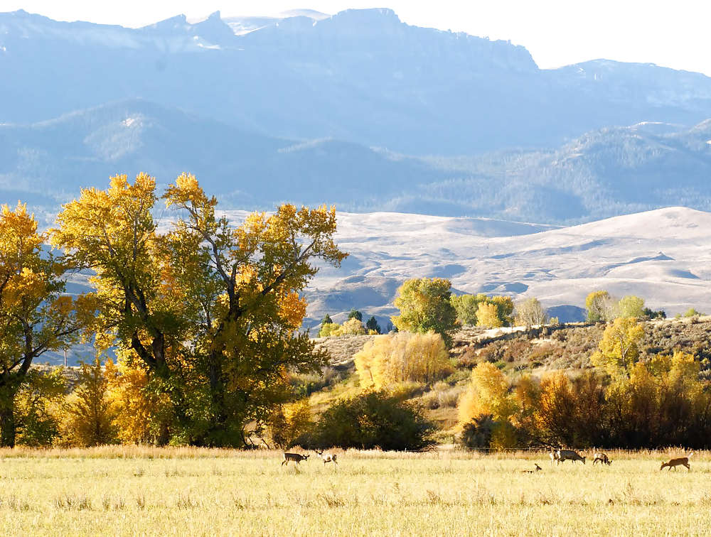 セクシーガール1
 #10136448