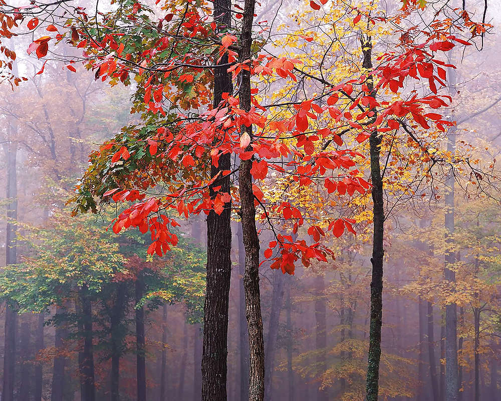 セクシーガール1
 #10136512