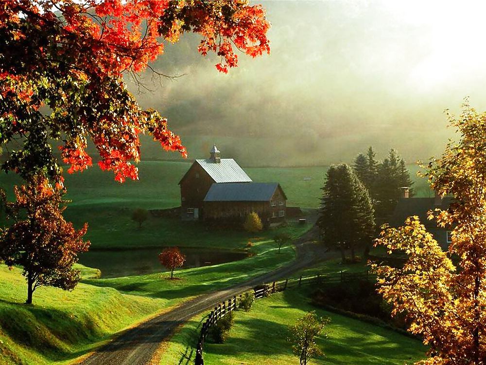 セクシーガール1
 #10136585