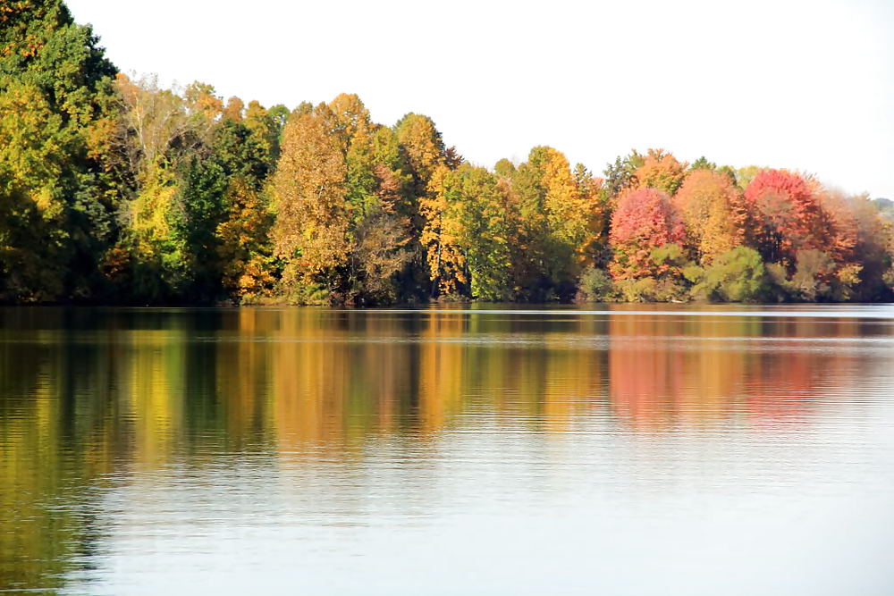 セクシーガール1
 #10136621