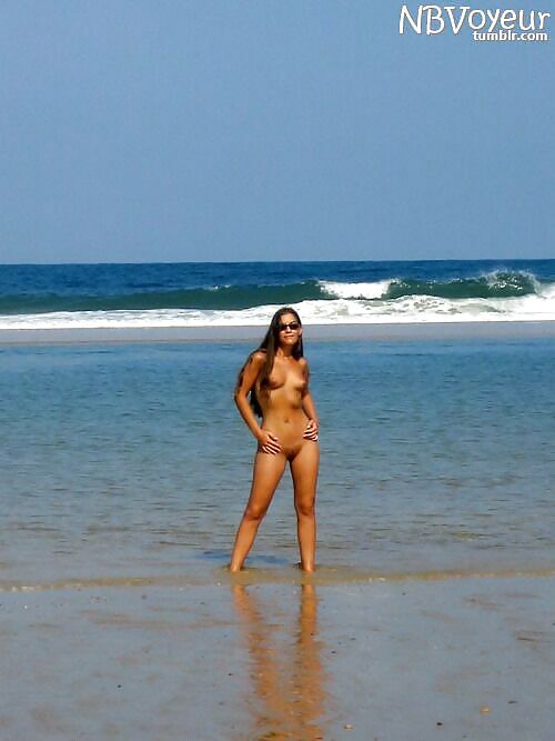 Nudists #15599475