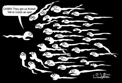Random funny #4144851