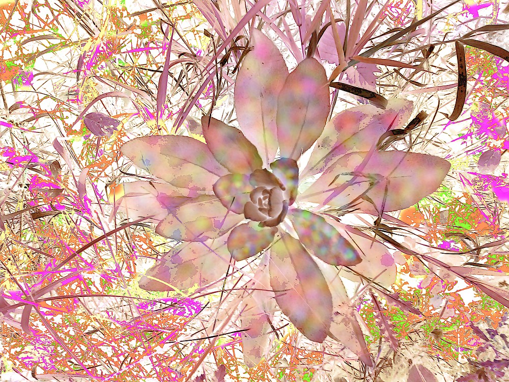 Graphics and Thoughts #13823912