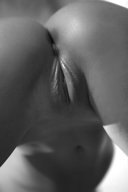 B&W 2 #18613094