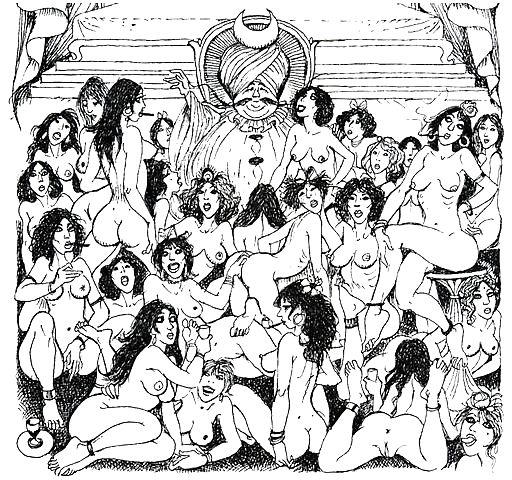 The Slaves and Ladies of the Harem. #15778708