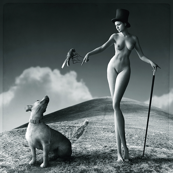 Erotiquement 9 #9308853