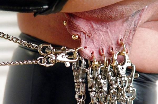 Extrem piercing cunt #18063768