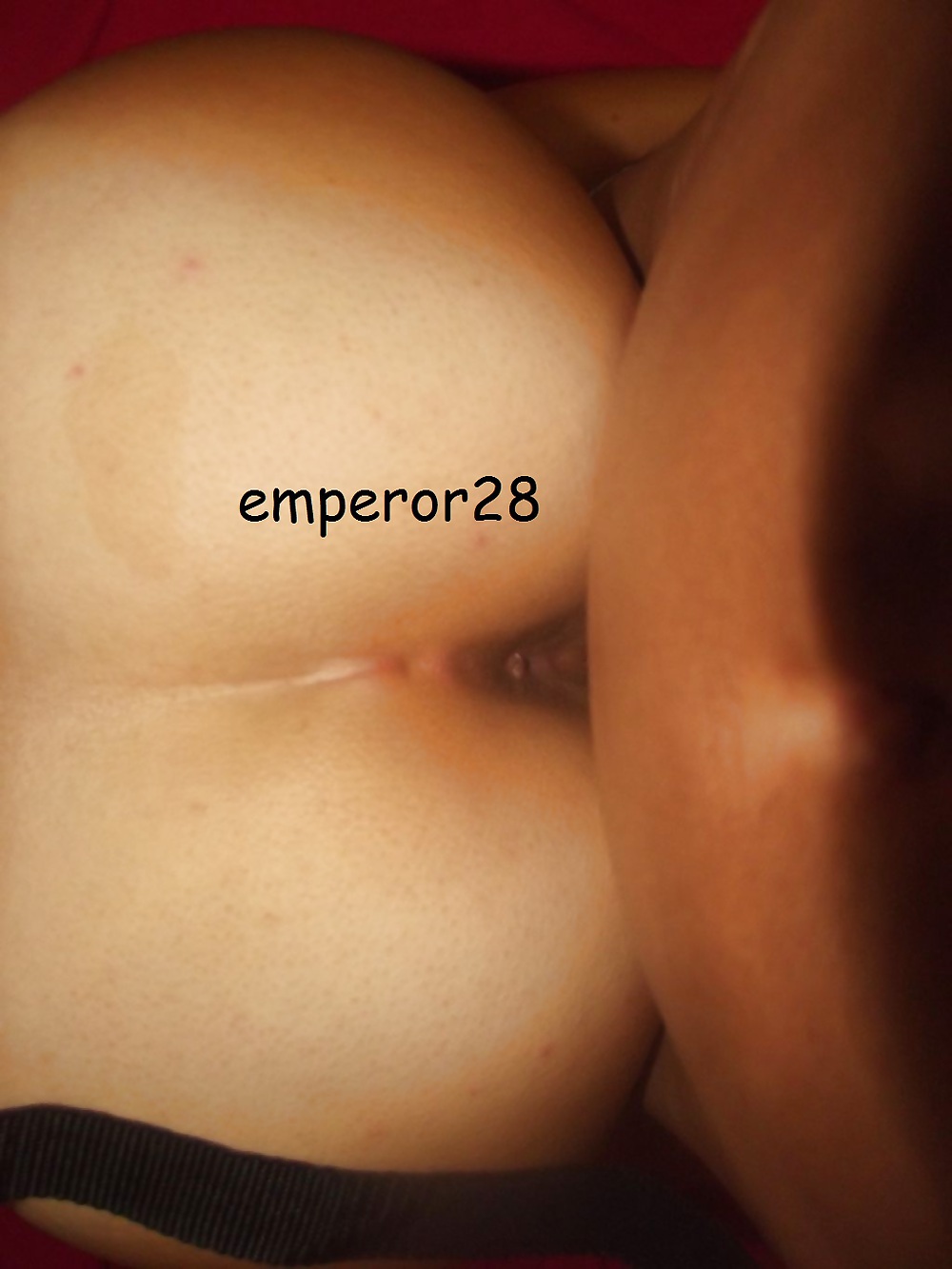 Pregúntale a gecesi (noche de amor)
 #14048914