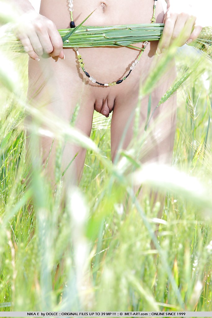 Perfekt Dünn #10115749