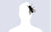 Putrid That is me