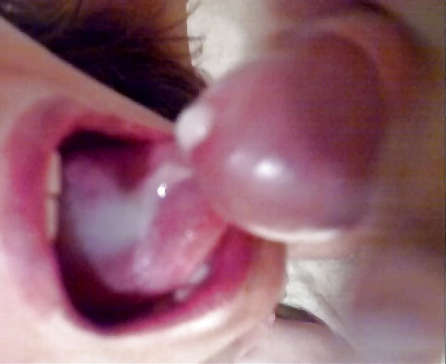 パシャの訪問 iii
 #13702645