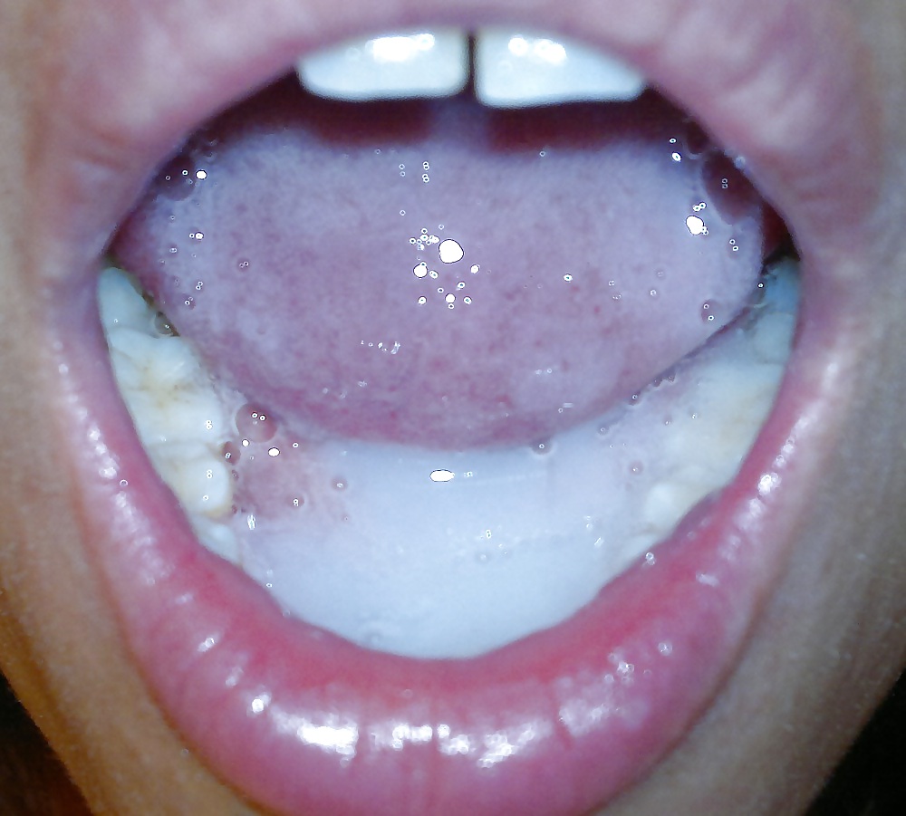 パシャの訪問 iii
 #13702659