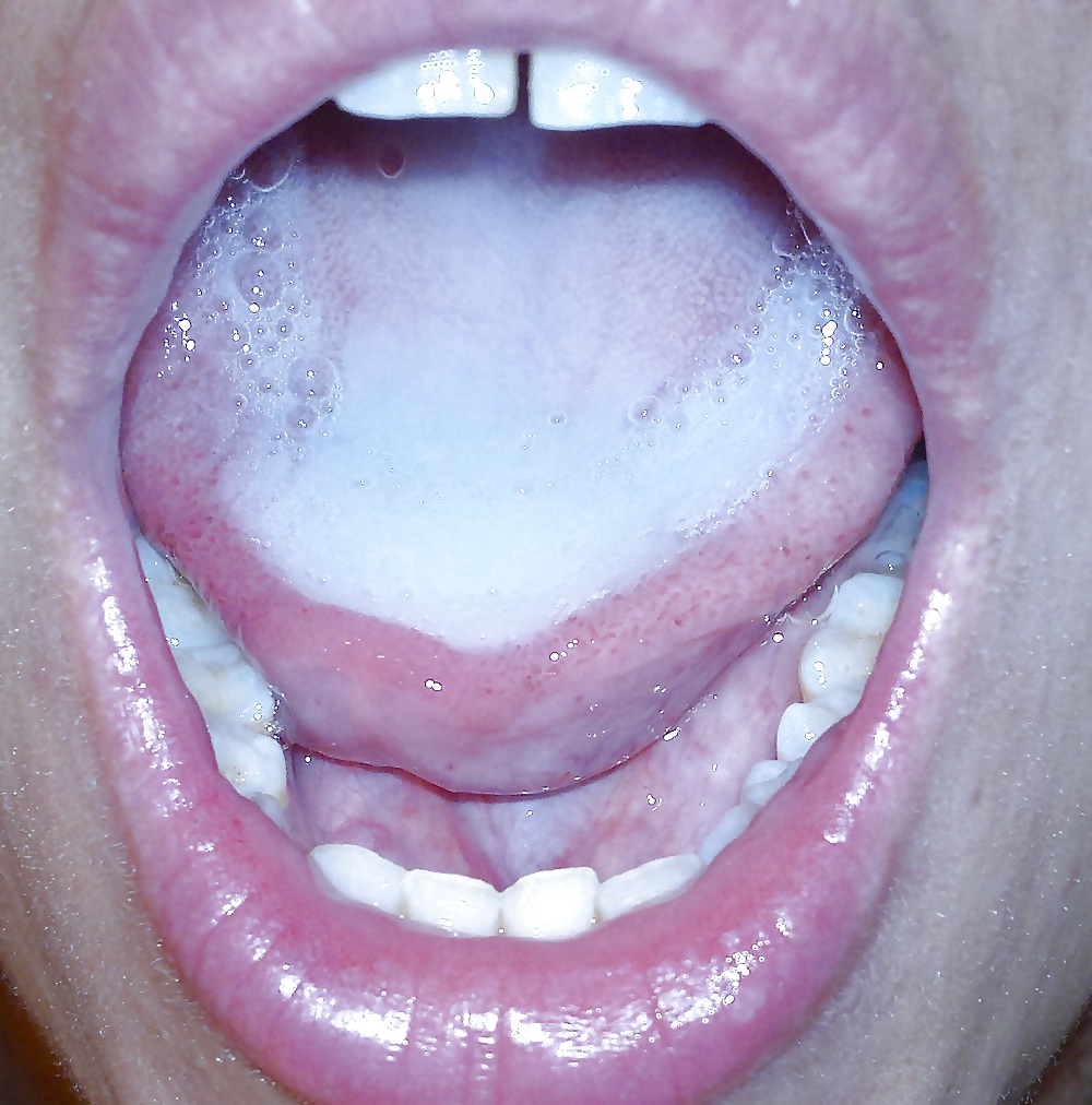 パシャの訪問 iii
 #13702668