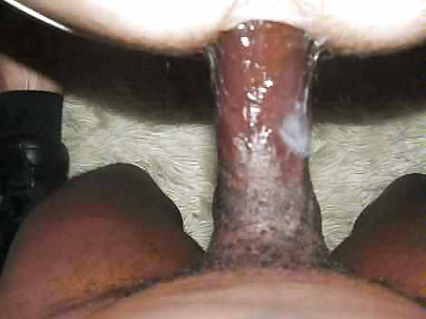 パシャの訪問 iii
 #13702710